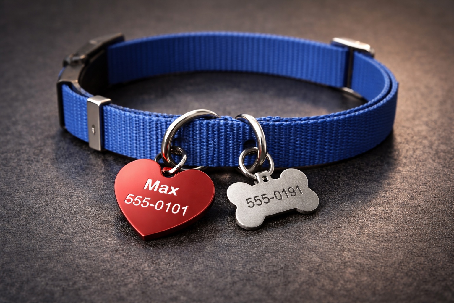 A collar with a clear ID tag and a backup contact tag.